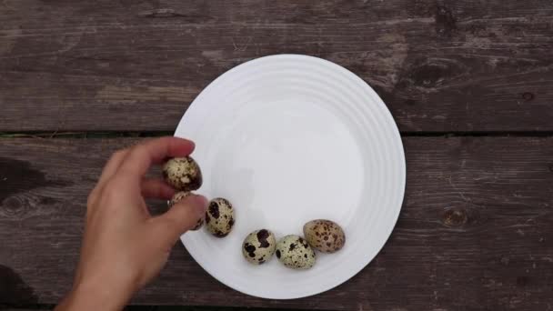 Kadın Elleri Bıldırcın Yumurtalarını Mutfaktaki Masada Beyaz Bir Tabağa Yumurtalarını — Stok video