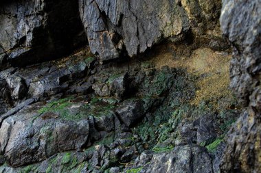 Arka plan olarak eski bir taş ocağında yosun, arka plan olarak taşlarda yosun, doğa taşları.