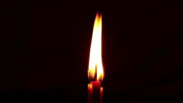 Three Burning Candles Dark Candle Fire Religion — Stock Video