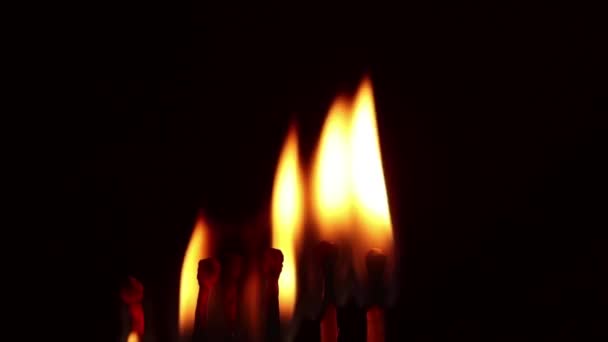 Matches Burn Dark Match Flame Night Fire — Stock Video