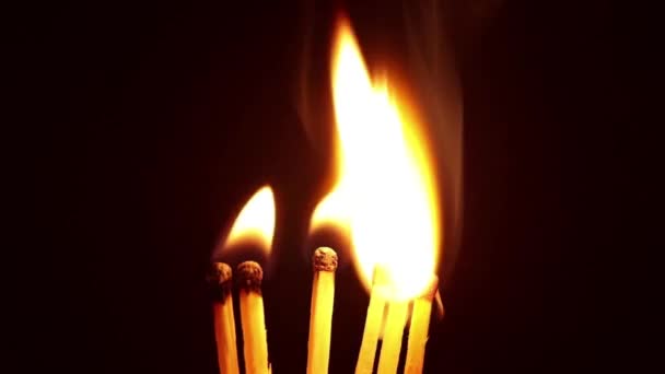 Σπίρτα Καίγονται Στο Σκοτάδι Σπίρτα Καίγονται Νύχτα Φωτιά — Αρχείο Βίντεο