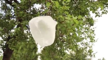 Ağaçta asılı duran plastik torba, ormandaki çöp, çevresel kirlilik, ormandaki çöp.