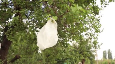 Ağaçta asılı duran plastik torba, ormandaki çöp, çevresel kirlilik, ormandaki çöp.