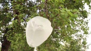 Ağaçta asılı duran plastik torba, ormandaki çöp, çevresel kirlilik, ormandaki çöp.