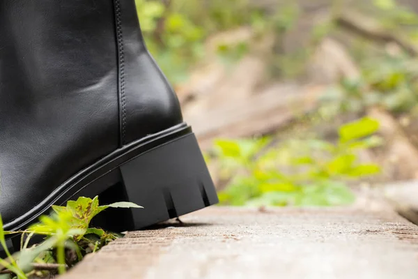 Bottes Noires Hautes Pour Femmes Avec Semelles Épaisses Tiennent Sur — Photo