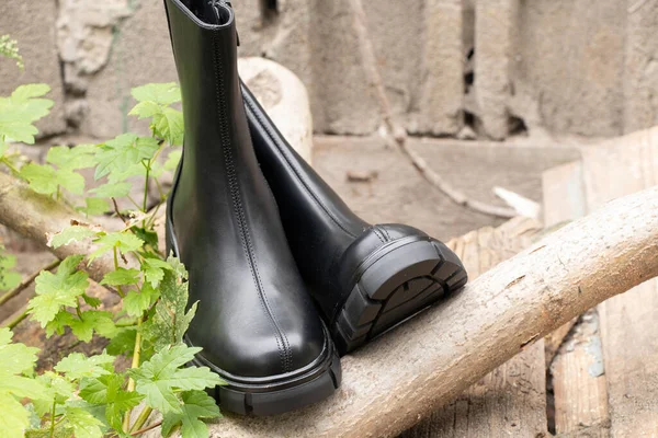 Bottes Noires Hautes Pour Femmes Avec Semelles Épaisses Tiennent Sur — Photo