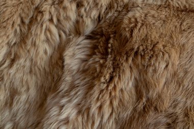 Arka plan ya da doku olarak kullanılan kadın kürkünden açık bej bir kürk, doğal sinekli kaygan arka plan