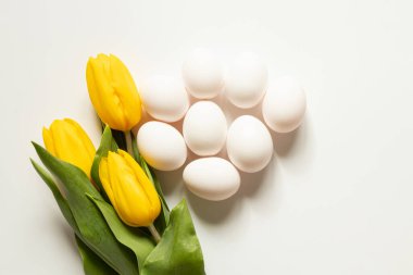 Beyaz tavuk yumurtaları ve sarı laleler temalar için beyaz bir zemin üzerinde bulunur: Paskalya hazırlıkları, Paskalya yemeği malzemeleri