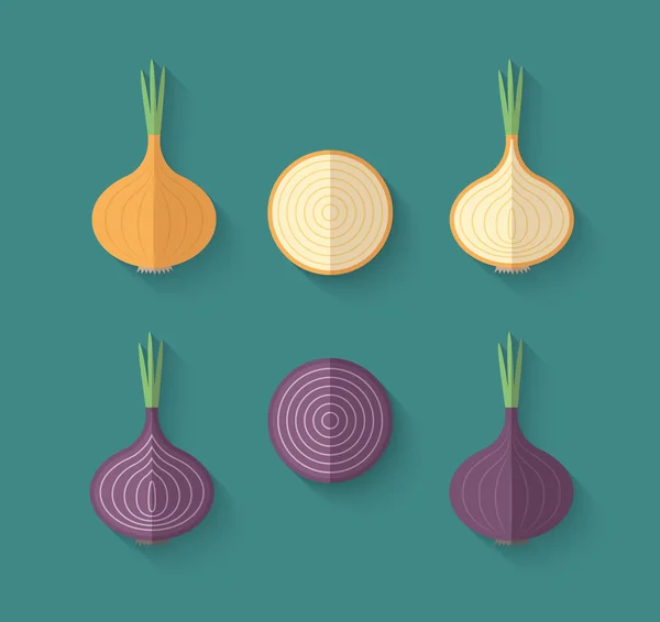 Un conjunto de verduras en un estilo plano - Cebolla — Vector de stock