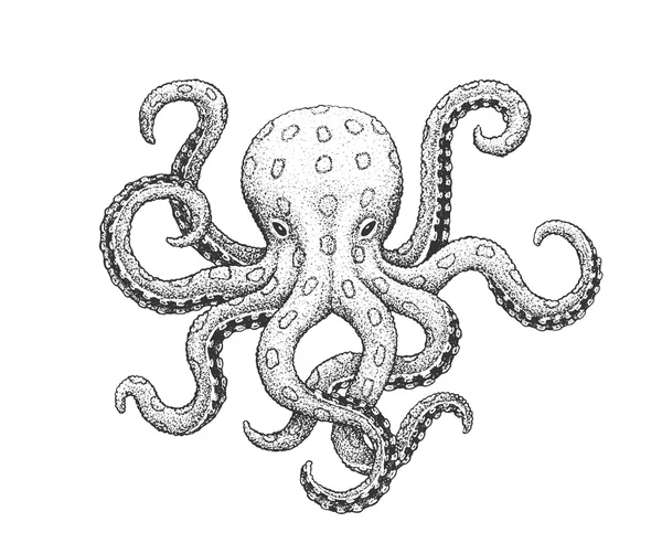 Octopus Engraving Illustration — Stock Vector
