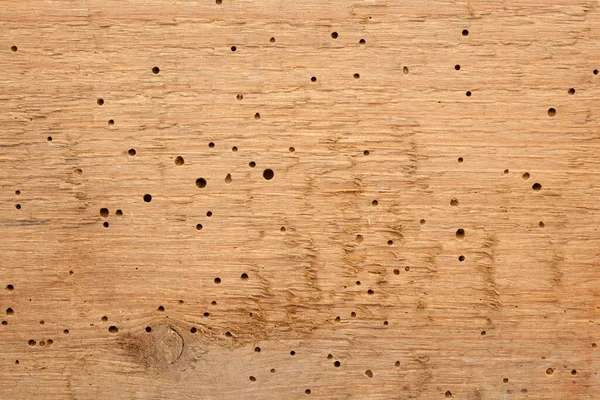 Textura Madera Grunge Vieja Fondo Con Agujeros Termitas —  Fotos de Stock