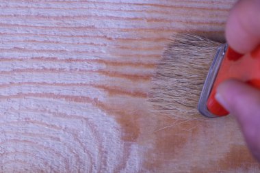 İnsan kereste lekesini hamile bırakır. El fırçasını koru