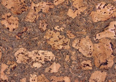 mantar doku arka plan