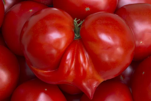 Tomate em forma de coração na pilha de tomates — Fotografia de Stock