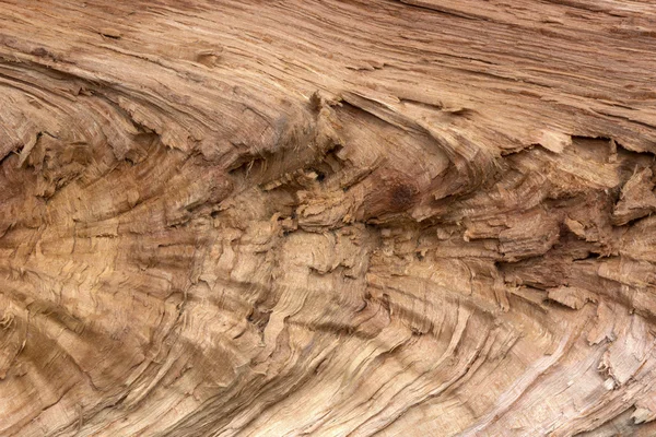 Texture en bois crépité — Photo