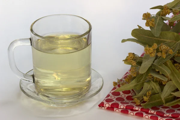 Linden tea in a glass cup — Stock fotografie