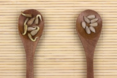  Genç ayçiçeği lahanası ve ayçiçeği tohumu