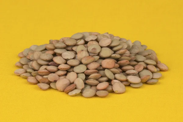 原始的棕色小扁豆 — 图库照片