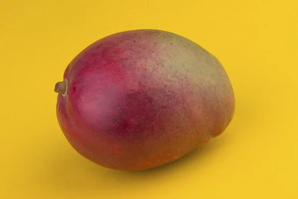 Mango — Foto Stock