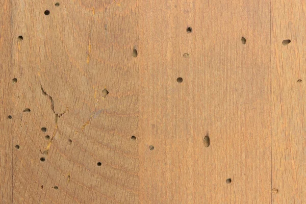 Texture del legno danneggiato termite — Foto Stock