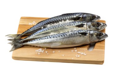 Beyaz izole uskumru balığı 