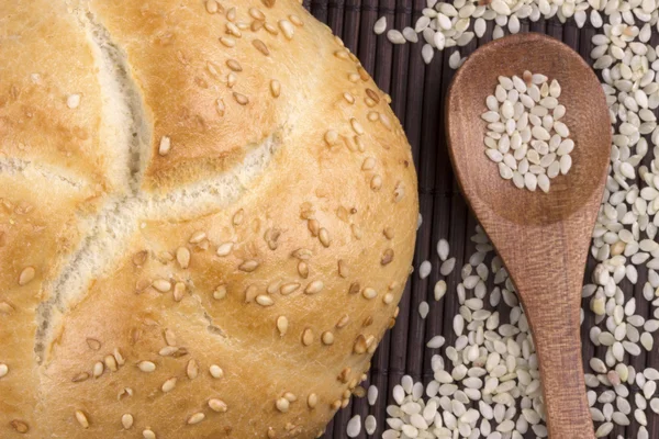 Small round sesame bread — Zdjęcie stockowe