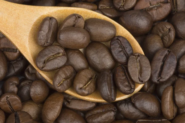 Rostade kaffebönor — Stockfoto