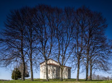 Kilise ağaçları ile