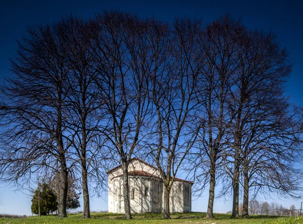 Kilise ağaçları ile