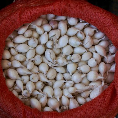 Yerel bir markette kırmızı çuvaldaki beyaz soğan soğanlarının yakın çekimi, seyahat ve gastronomi aşıkları için otantik gıda kültürünü vurguluyor.