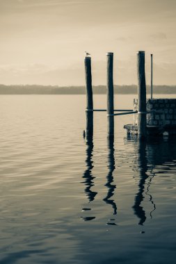 Dock kazıklara martı, romantik bir sahne, b&w ile bir gölde