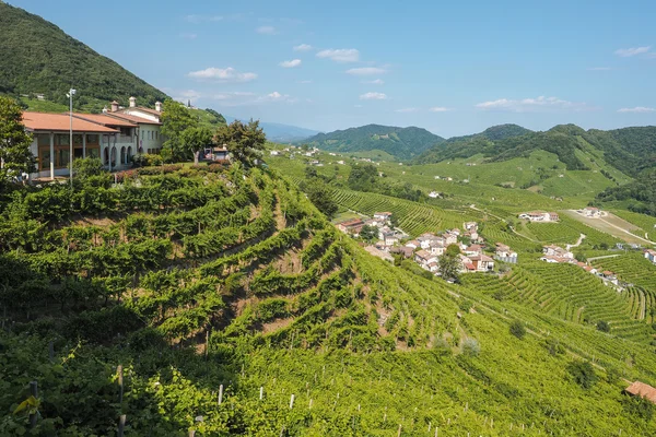 Valdobbiadene staden och Prosecco vingårdar i Veneto — Stockfoto