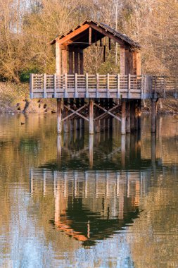 Yığın yaşayan bir göl, sonbahar atmosfer, dikey vurdu