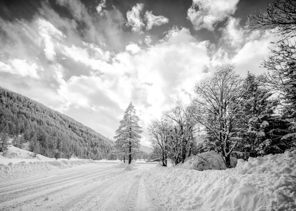 Paysage montagneux enneigé noir et blanc — Photo