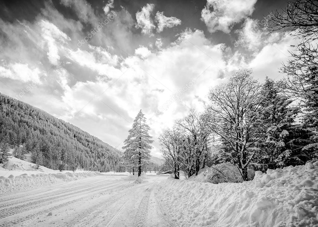Paysage De Montagne Enneigée De Noir Et Blanc Photographie