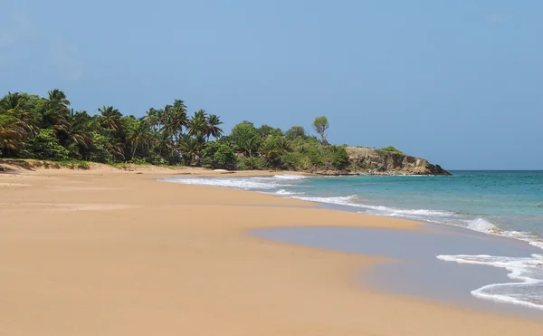 La Perle paesaggio balneare in Basse Terre Guadalupa — Foto Stock