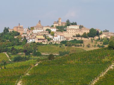Neive, küçük kasaba Langhe, Piedmont, İtalya