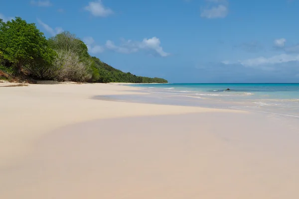 Anse de Mays, spiaggia sabbiosa a Marie Galante — Foto Stock