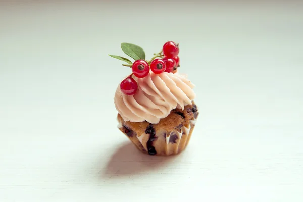 Muffin krema ve kırmızı kuş üzümü ile. Kek krem ve beyaz cu Telifsiz Stok Imajlar