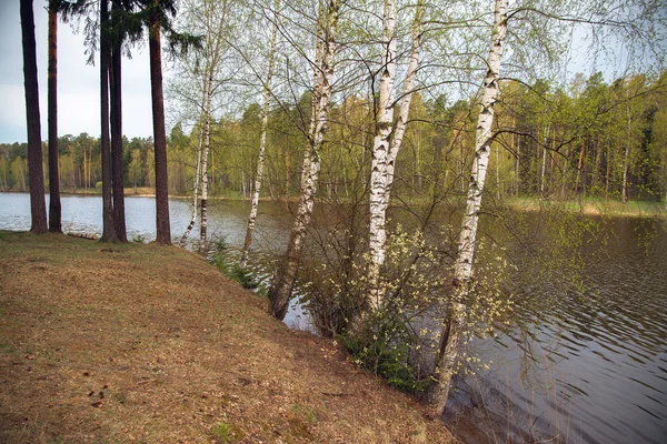 On the river bank — Stock Photo, Image