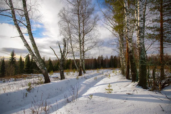 Dag winterlandschap — Stockfoto