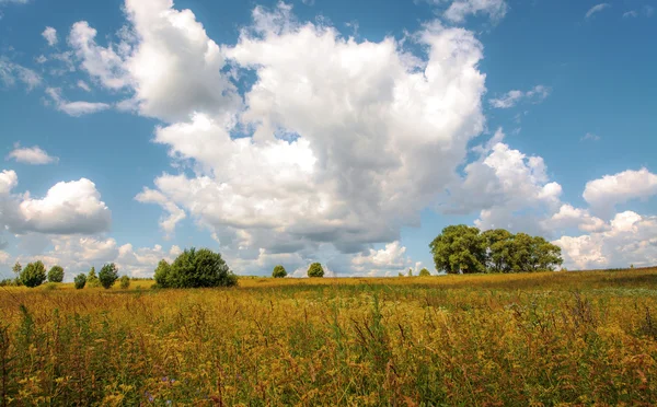 De natuur in een zomertijd — Stockfoto