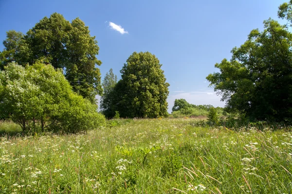 Hot day — Stock Photo, Image