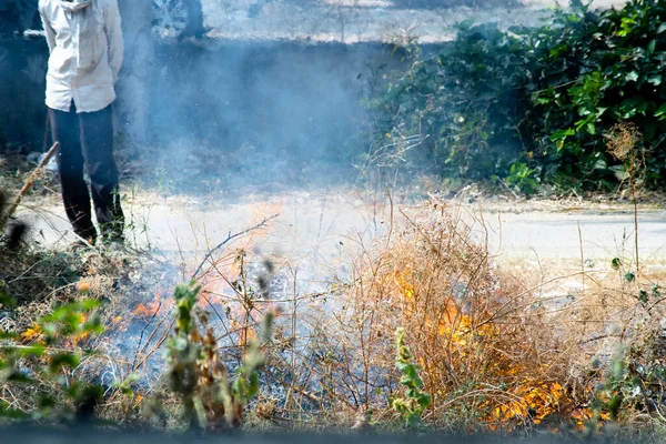 Coup de projectile de cultures thrash déchets brûlés sur le bord d'une route et causant la pollution par la fumée et la poussière dans l'air de delhi jaipur et plus réduisant la qualité de l'air — Photo