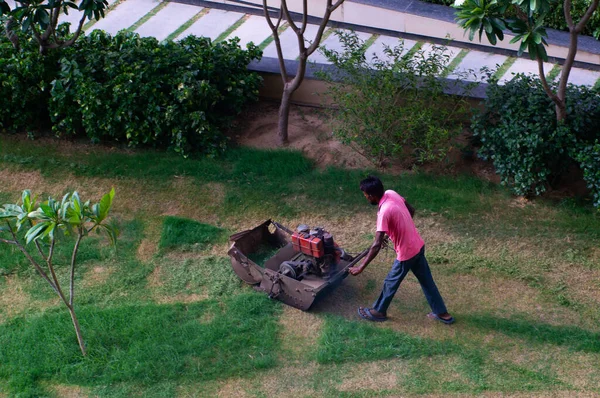 Personne tondre l'herbe dans le terrain — Photo