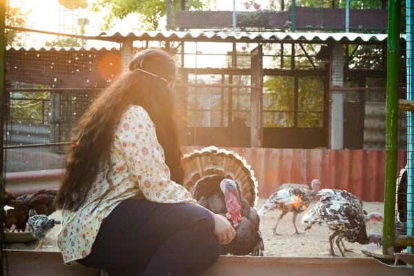 Молода індійська дівчина дивиться і вказує на курей, застрелених у повільному русі на органічній стійкій фермі вільного діапазону, що вирощує птицю та курей у співчутливий відповідальний спосіб для м'яса та яєць — стокове фото