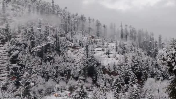 山の上で新鮮な雪のビデオ — ストック動画