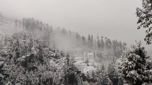 山の上で新鮮な雪のビデオ — ストック動画