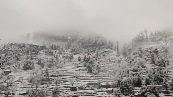 山の上の新鮮な雪の空中ビデオ — ストック動画