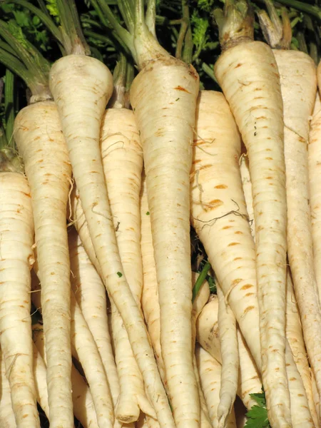 Parsnips Royalty Free Stock Photos
